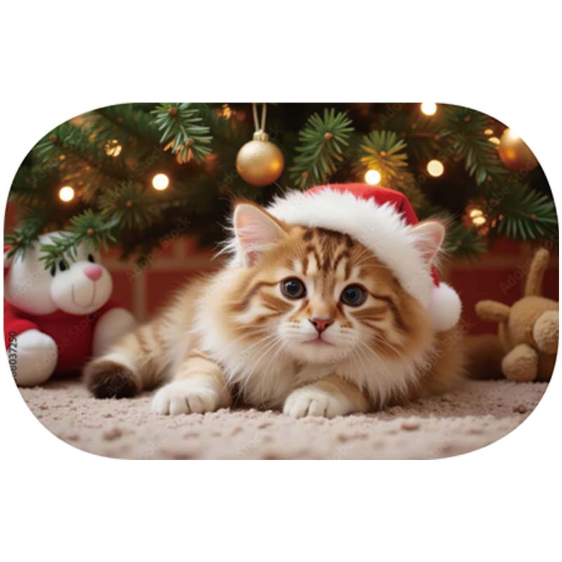 Christmas placemats