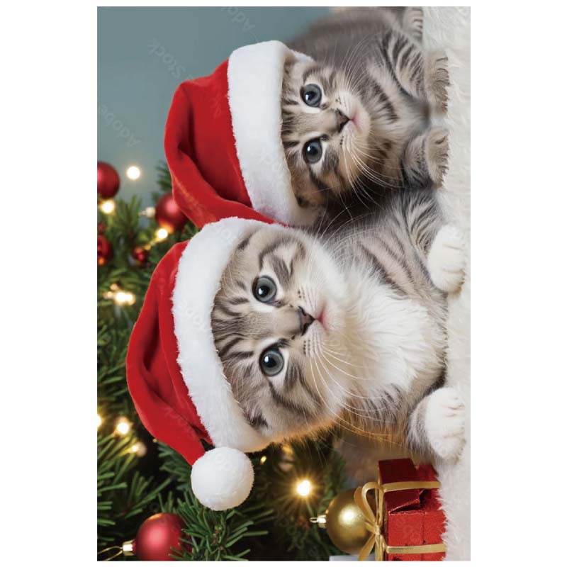 Christmas Greeting Cards