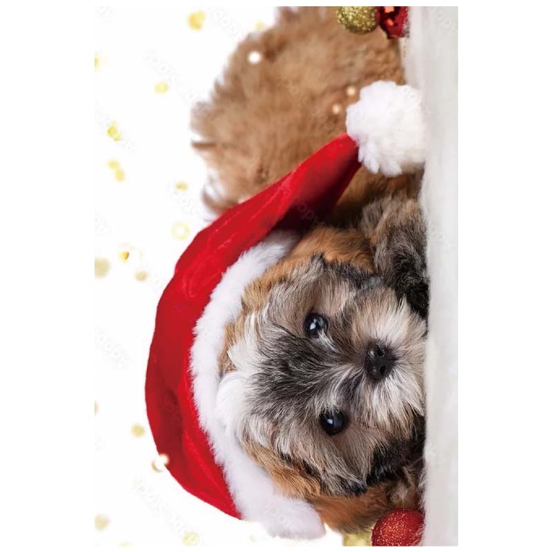Christmas Greeting Cards