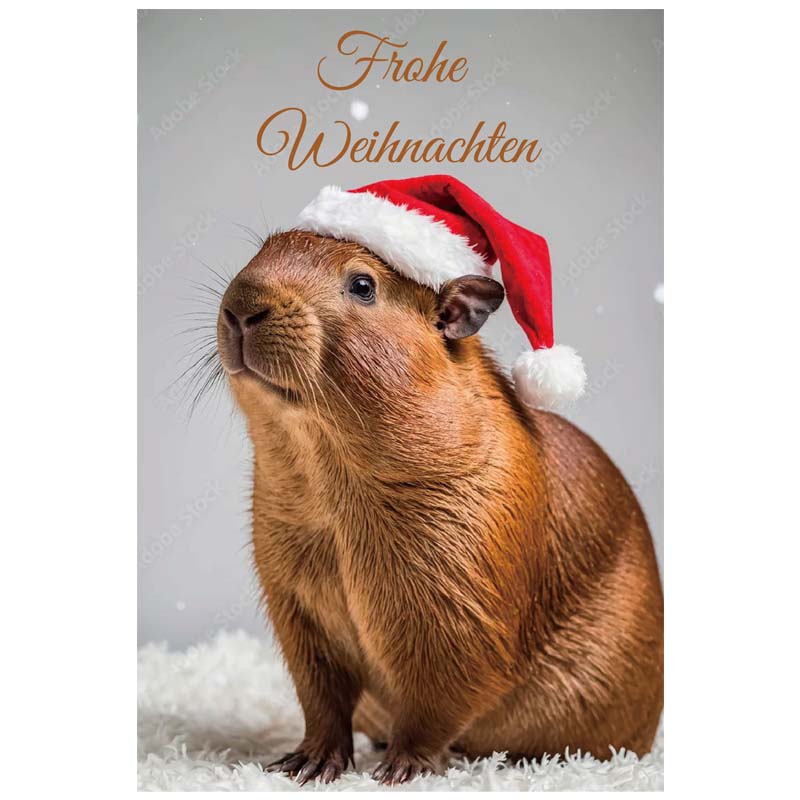 Christmas Greeting Cards