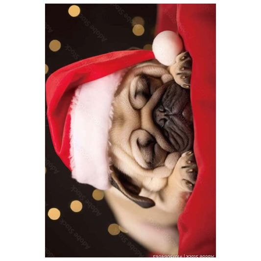 Christmas Greeting Cards