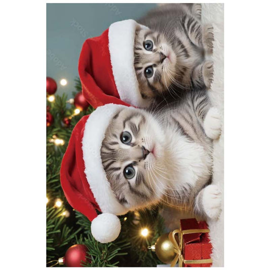 Christmas Greeting Cards