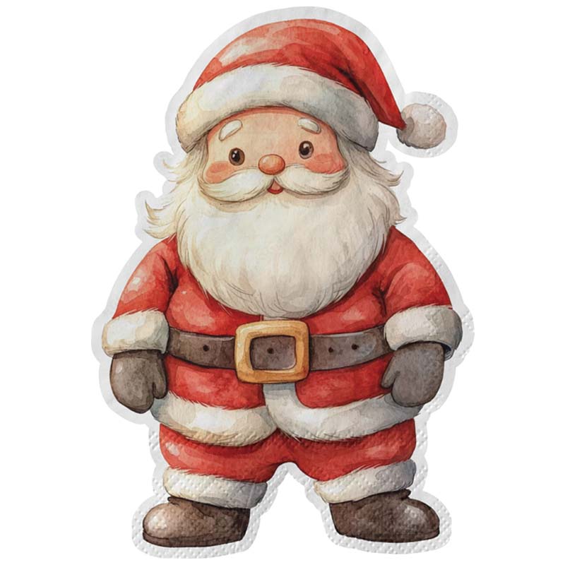 Christmas Napkins